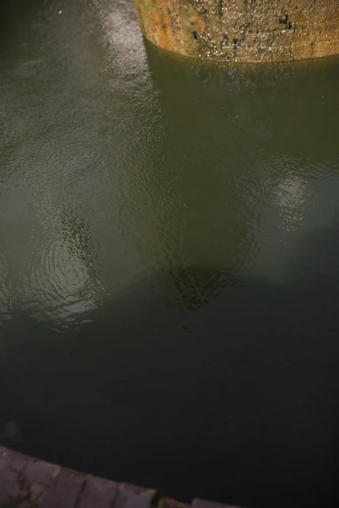 barbican (16 of 17).jpg