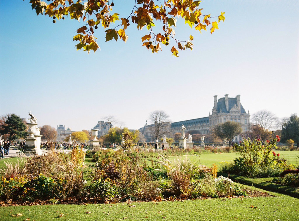 Jardin des Tuileries in Autumn