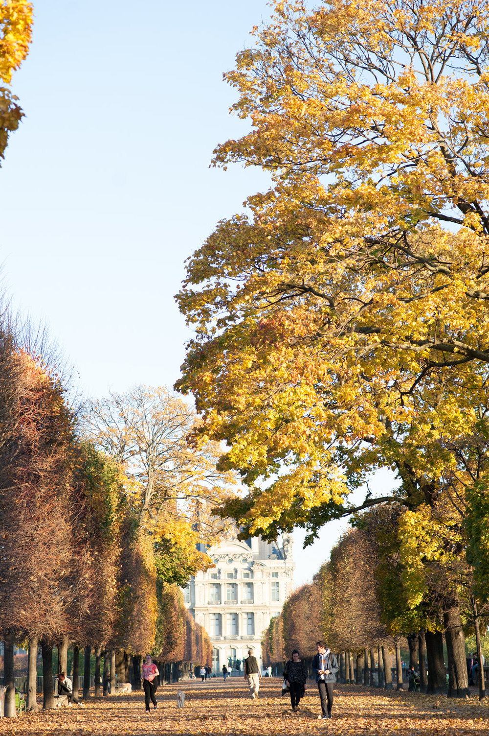 Jardin des Tuileries for a photoshoot