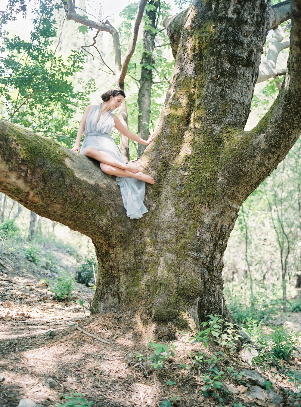 Blue dress bride in a tree