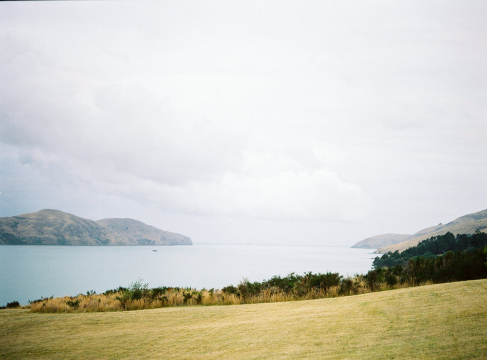 celine_chhuon_engagement_governor_bay_christchurch_newzealand_destination_photographer (6).jpg