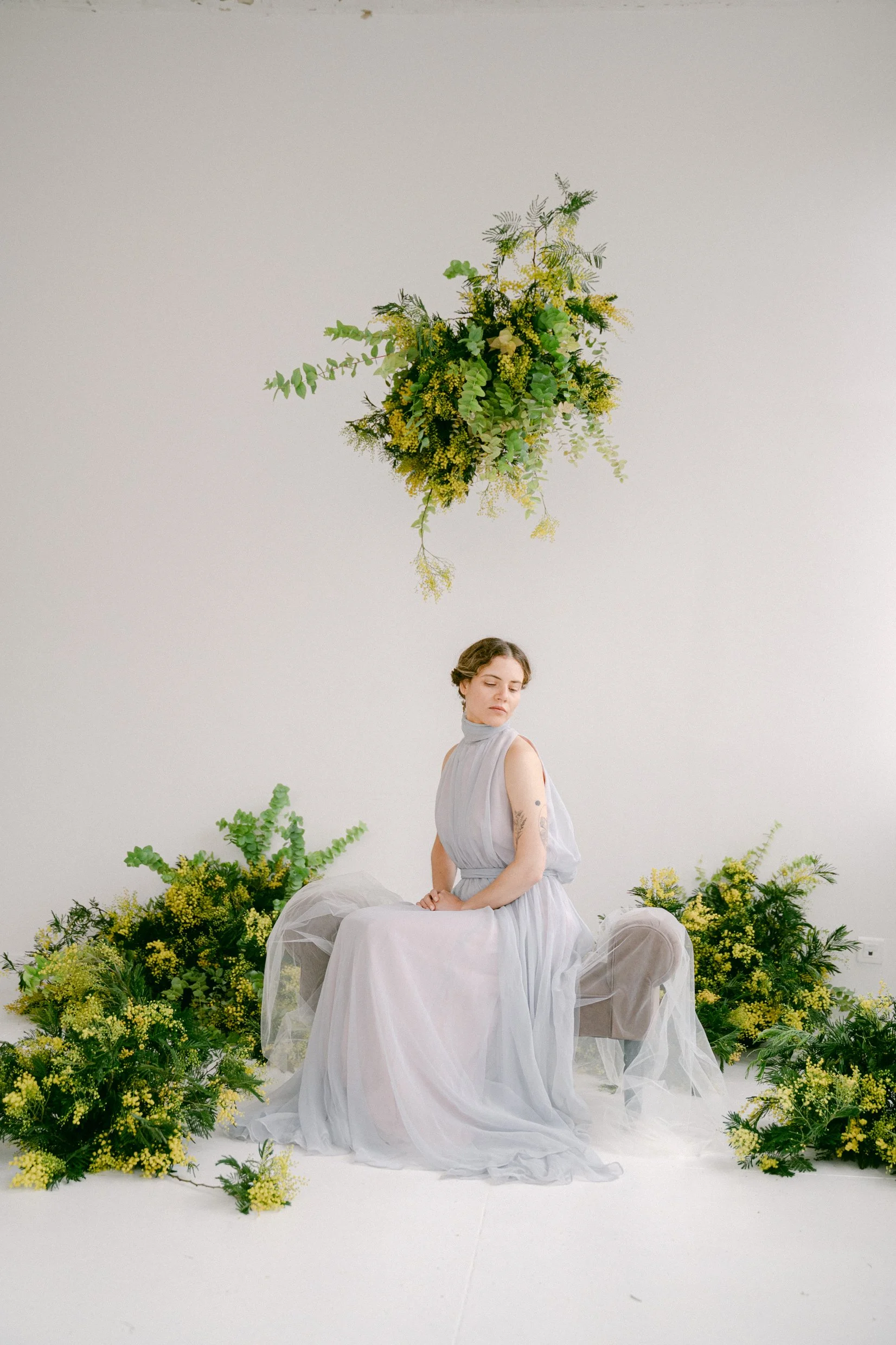adrienne-mimosa-1.jpg
