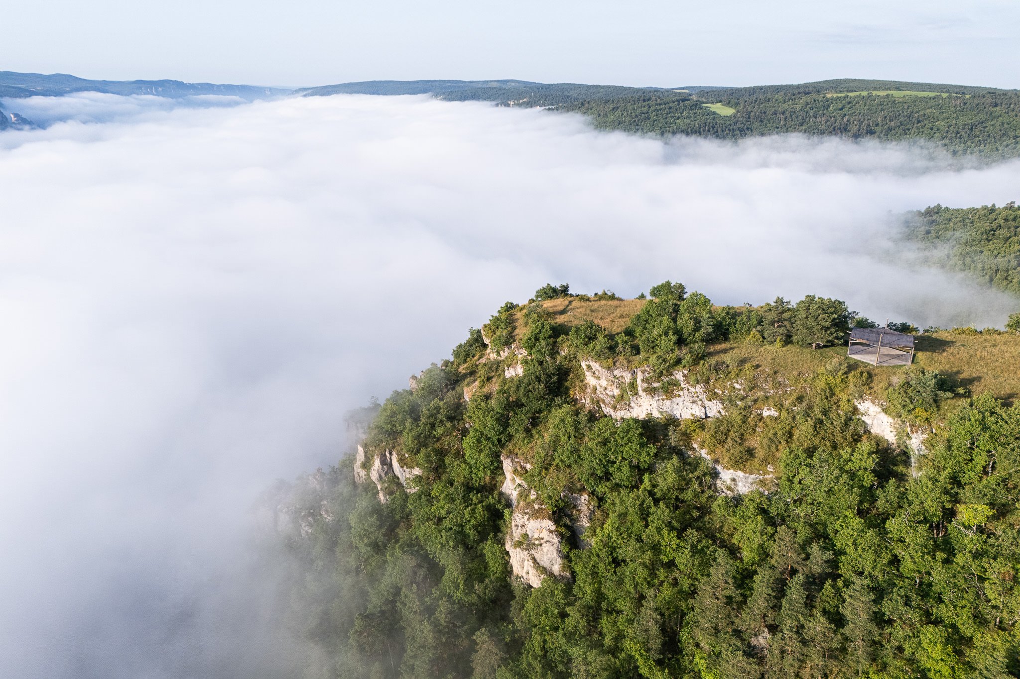 DJI_20240627074730_0040_D.jpg