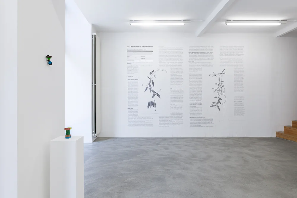 Exhibition View, Galerie Martin Janda, 2016, Photo: Markus Wörgötter