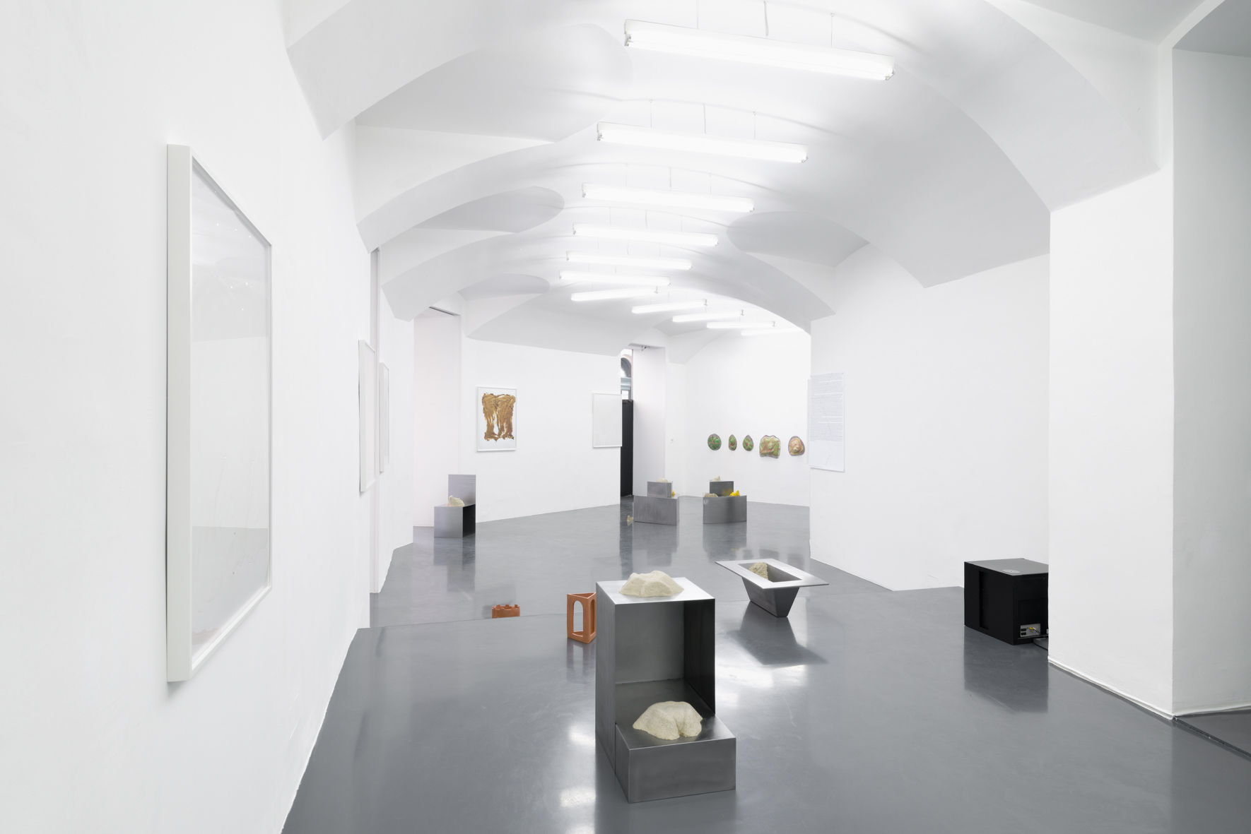 Exhibition View, Fieber, curated by Kari Rittenbach, Galerie Emanuel Layr, 2016. Courtesy: Galerie Emanuel Layr