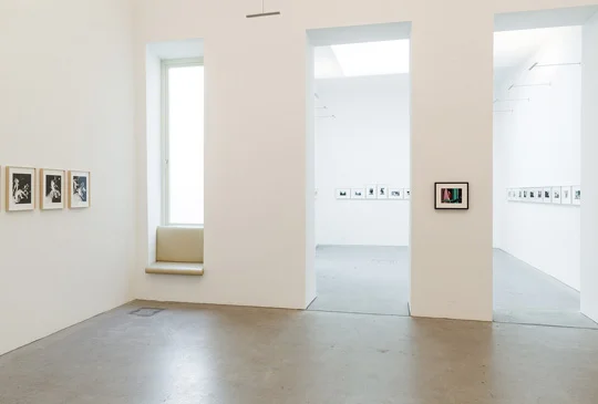 Exhibition View, Feckless and Hotheaded, curated by Æsa Sigurjónsdóttir, 2016, Galerie Raum mit Licht © Christoph Fuchs