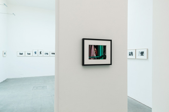 Exhibition View, Feckless and Hotheaded, curated by Æsa Sigurjónsdóttir, 2016, Galerie Raum mit Licht © Christoph Fuchs