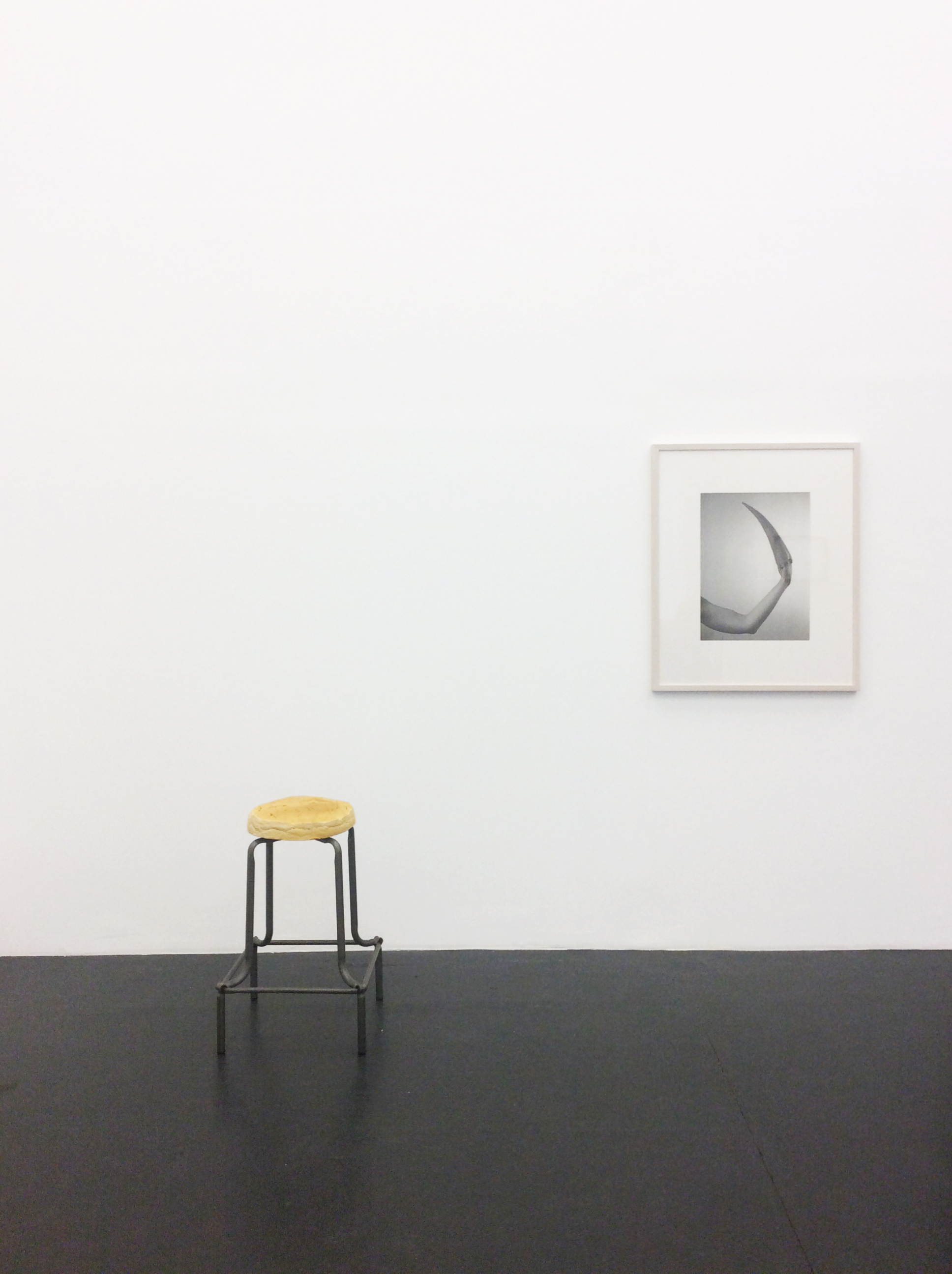 Exhibition view „I´ve decided to be Happy because it´s good for one´s health“ by Jana Sterbak, Galerie Steinek, 2016, Photo: Tachdjian