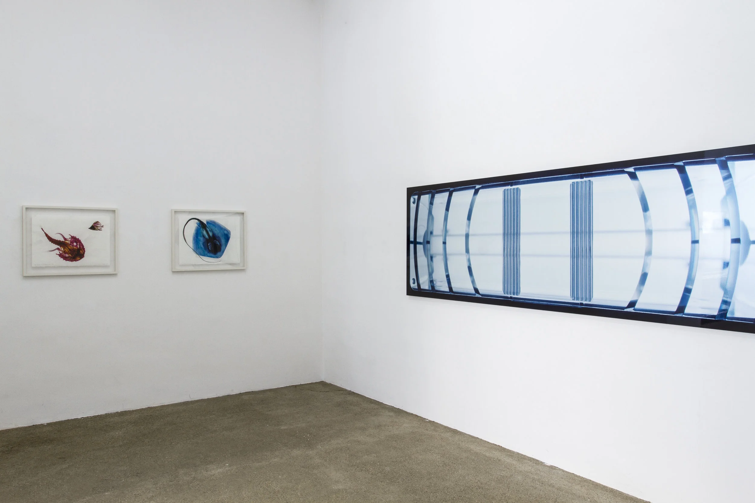 RE-CODING curated by_Dieter Buchhart & Anna Karina Hofbauer, Exhibition View, Galerie Elisabeth & Klaus Thoman, Vienna, 2016 Photo: Galerie Elisabeth & Klaus Thoman/Lena Kienzer