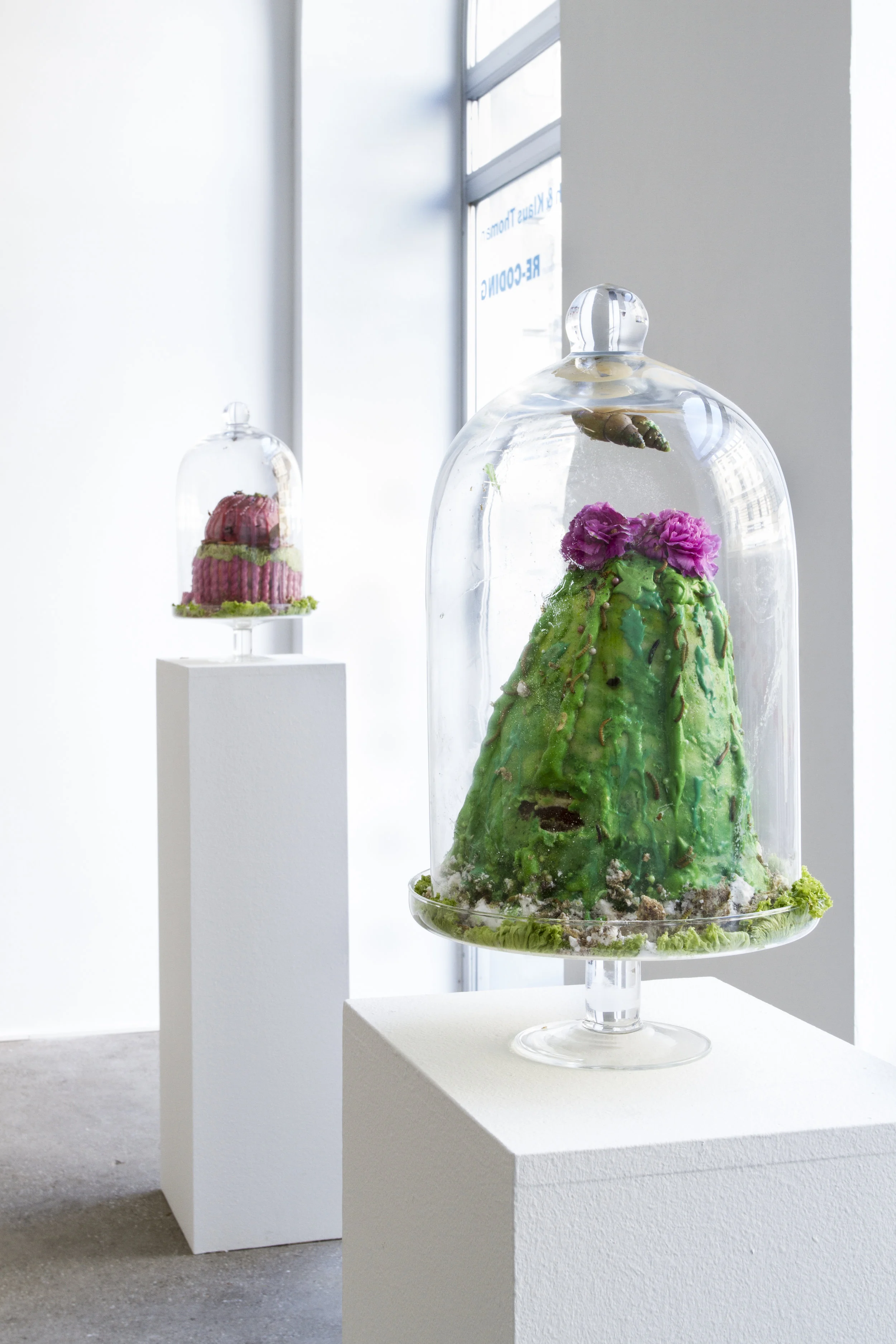 RE-CODING curated by_Dieter Buchhart & Anna Karina Hofbauer, Exhibition View, Galerie Elisabeth & Klaus Thoman, Vienna, 2016 Photo: Galerie Elisabeth & Klaus Thoman/Lena Kienzer