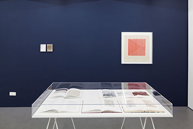 Exhibition View, Emak Bakia, curated by_Bettina Steinbrügge, Krobath Wien, 2016, Photo: Rudolf Strobl