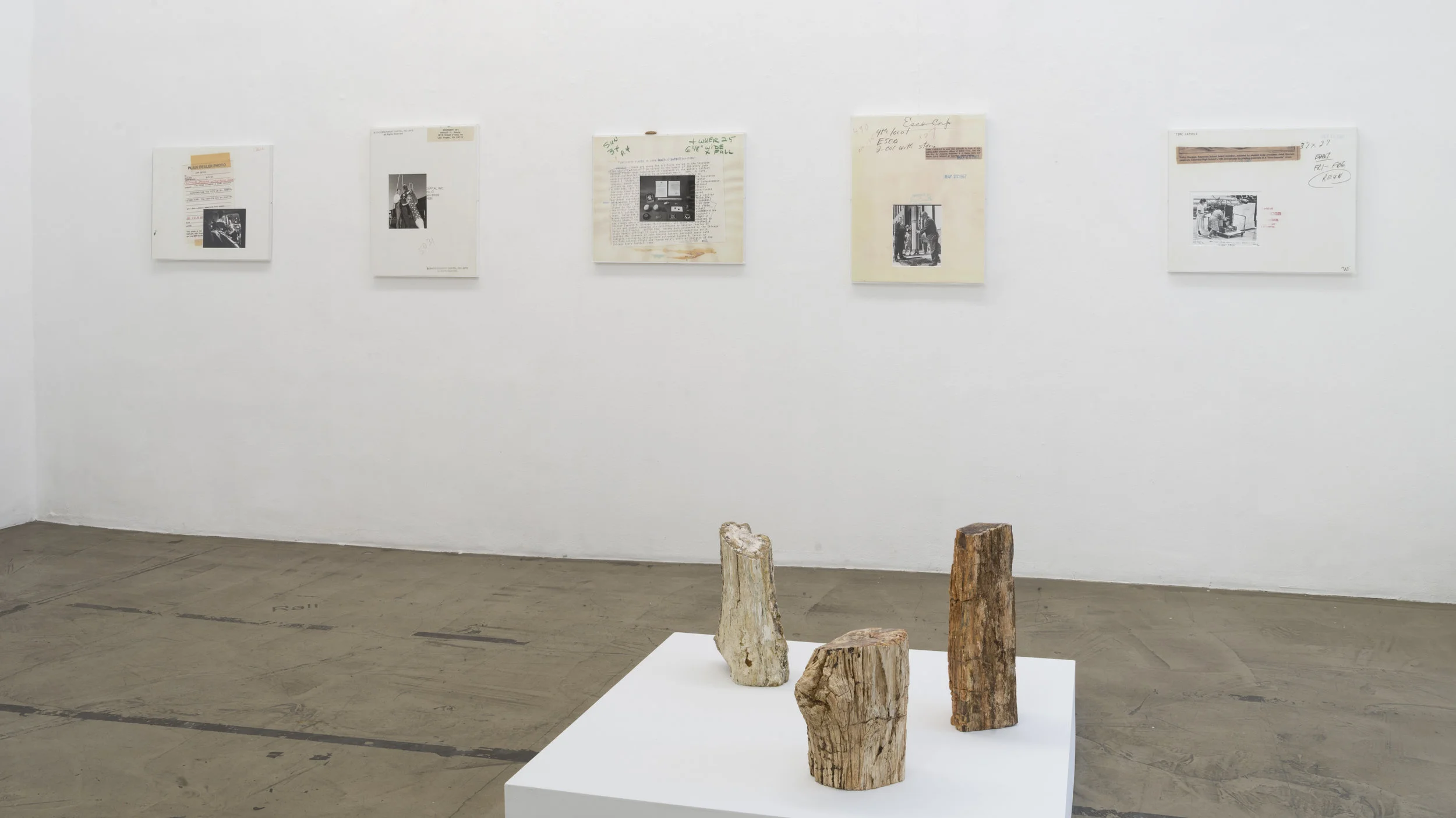 Exhibition View, Charim Galerie, curated by_Brigitte Huck & Martin Guttmann, 2015, Photo: Charim Galerie