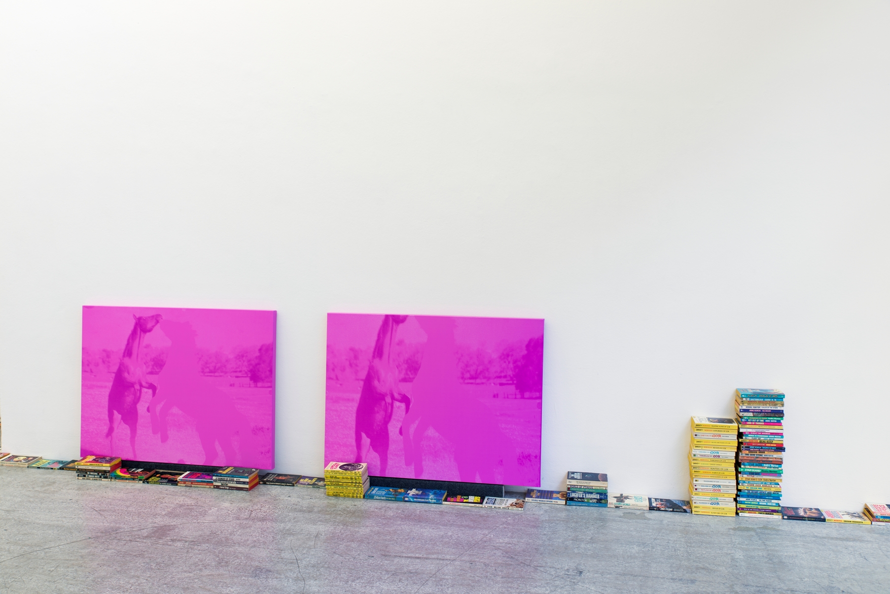 Exhibition View, Cartoon Physics, curated by_Chris Fitzpatrick, 2015, Galerie Kerstin Engholm, Photo: Stefan Lux