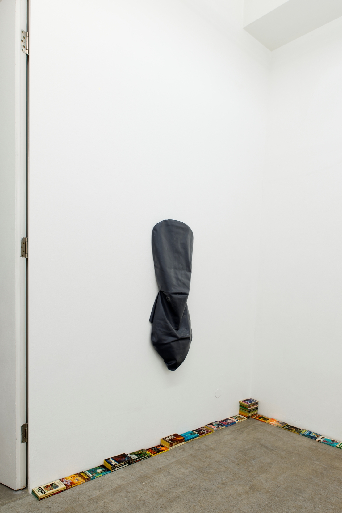 Exhibition View, Cartoon Physics, curated by_Chris Fitzpatrick, 2015, Galerie Kerstin Engholm, Photo: Stefan Lux
