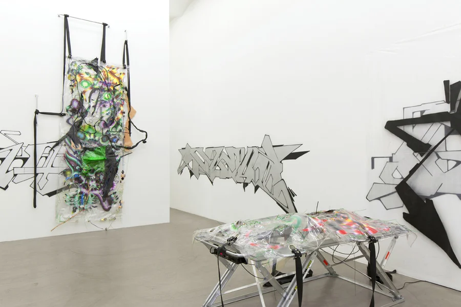 Exhibition View, Galerie Meyer Kainer, curated by_N.O.Madski, 2015, Courtesy: Galerie Meyer Kainer