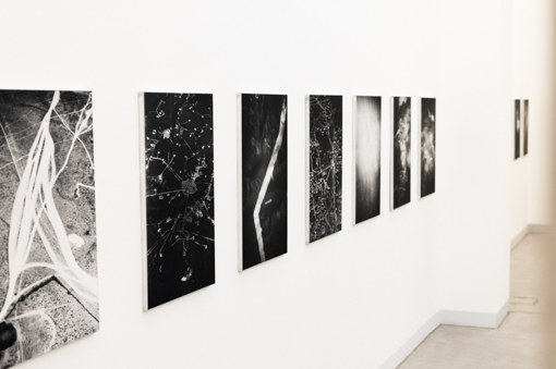 Exhibition View, Frauenzimmer ZWEI, curated by_Moritz Küng, 2014, Raum mit Licht, Photo: Amélie Chapalain