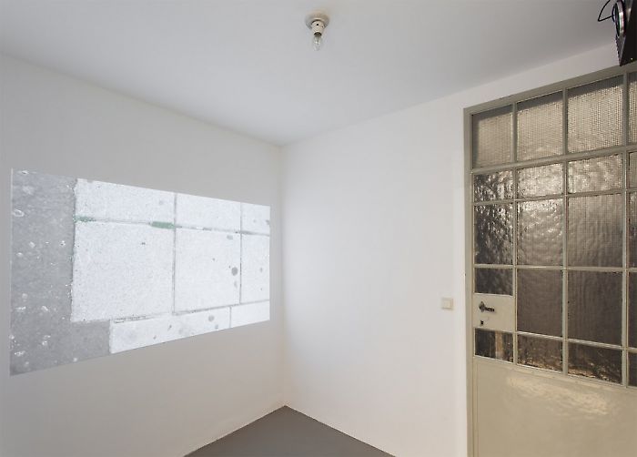 I Know Not to Know curated by_Francesco Stocchi, Exhibition View, 2014, Photo: Georg Kargl Fine Arts