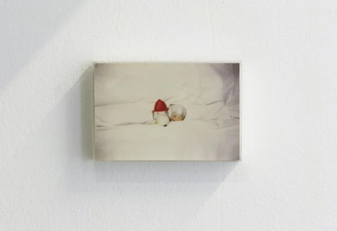 Ready to Sleep (Arbeitstitel) curated_by Sabeth Buchmann, Exhibition View, Galerie Mezzanin, 2014, Photo: Galerie Mezzanin