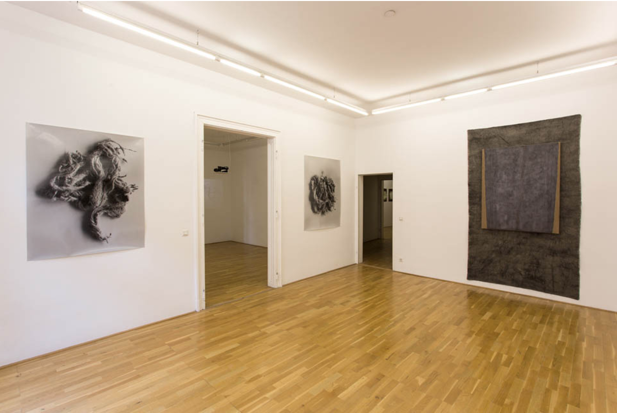Exhibition View, Galerie Andreas Huber, Dress rehearsal, curated by_Franklin Melendez, 2013, Photo: Klaus Vyhnalek