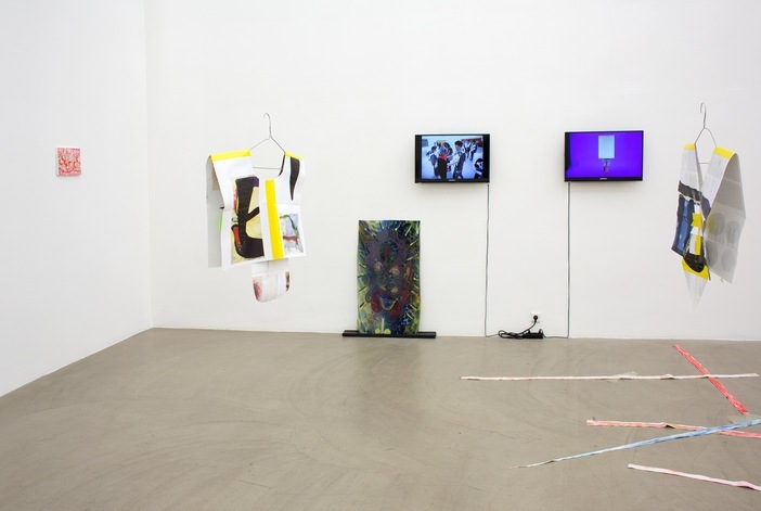 Exhibition View, Galerie Meyer Kainer, curated by_Ei Arakawa, 2013, Photo: Galerie Meyer Kainer
