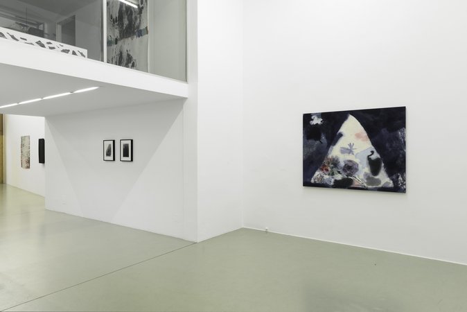 Exhibition View, Galerie Mezzanin, August, curated by_Tyler Coburn, 2013, Photo: Galerie Meezzanin