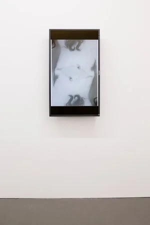 Exhibition View, Galerie Mezzanin, August, curated by_Tyler Coburn, 2013, Photo: Galerie Meezzanin