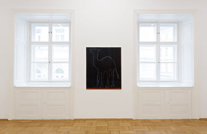 Exhibition View, Galerie nächst St. Stephan, curated by_Miguel Wandschneider, 2013, Photo: Galerie nächst St. Stephan