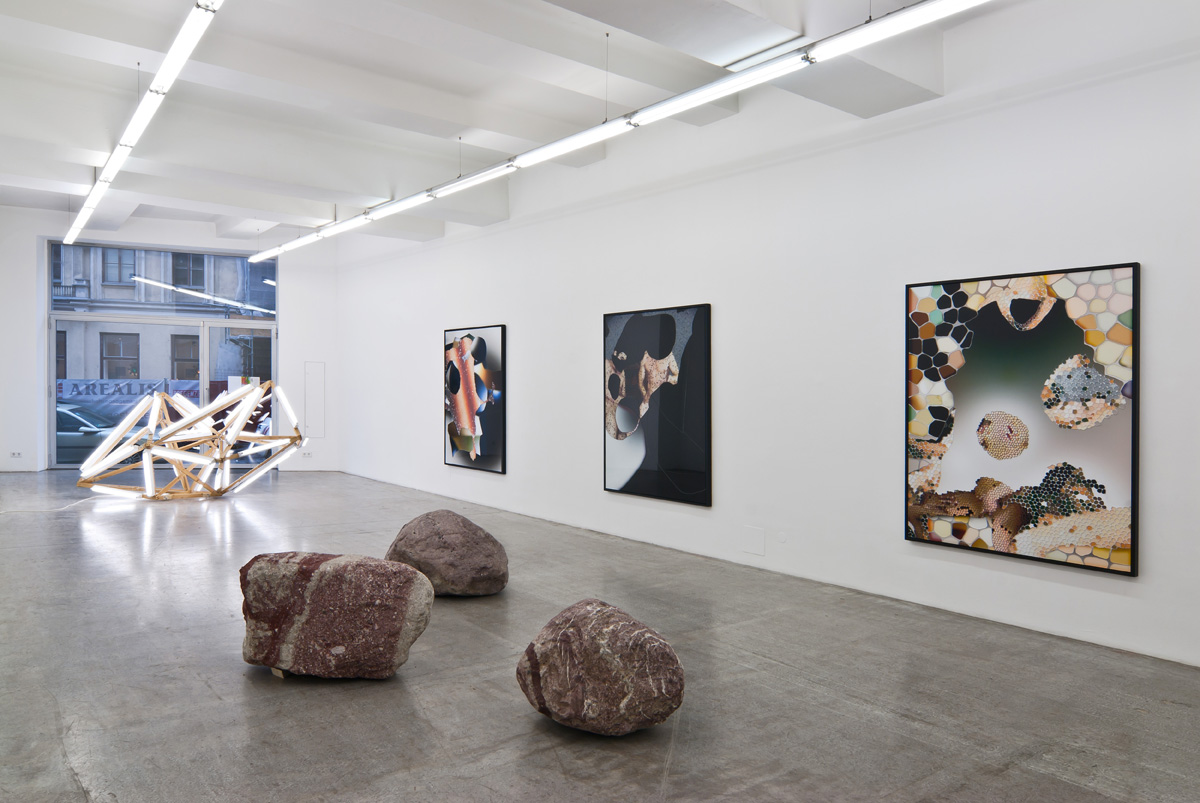 Exhibition View, Kerstin Engholm Galerie, Cosmology, Aesthetics, and Anthropy, curated by_John Christoph Doswald, 2012, Photo: Kerstin Engholm Galerie