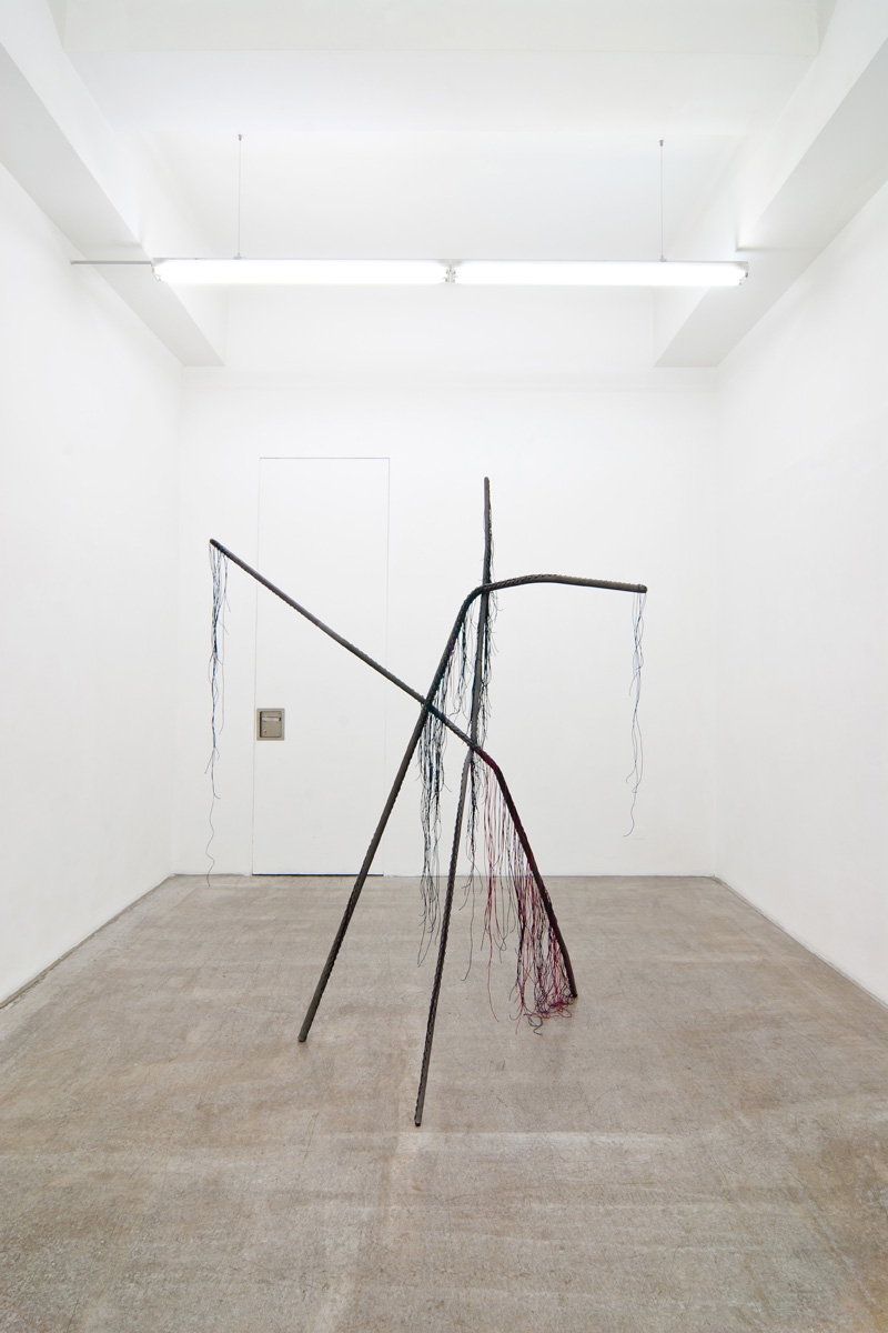 Exhibition View, Kerstin Engholm Galerie, Cosmology, Aesthetics, and Anthropy, curated by_John Christoph Doswald, 2012, Photo: Kerstin Engholm Galerie