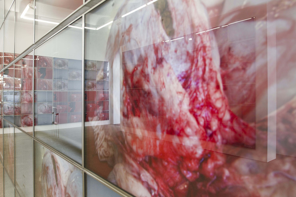 Exhibition View, Galerie Elisabeth & Klaus Thoman, curated by_Michael Scott Hall, 2012, Photo: Lena Kienzer