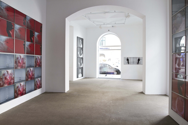 Exhibition View, Galerie Elisabeth & Klaus Thoman, curated by_Michael Scott Hall, 2012, Photo: Lena Kienzer