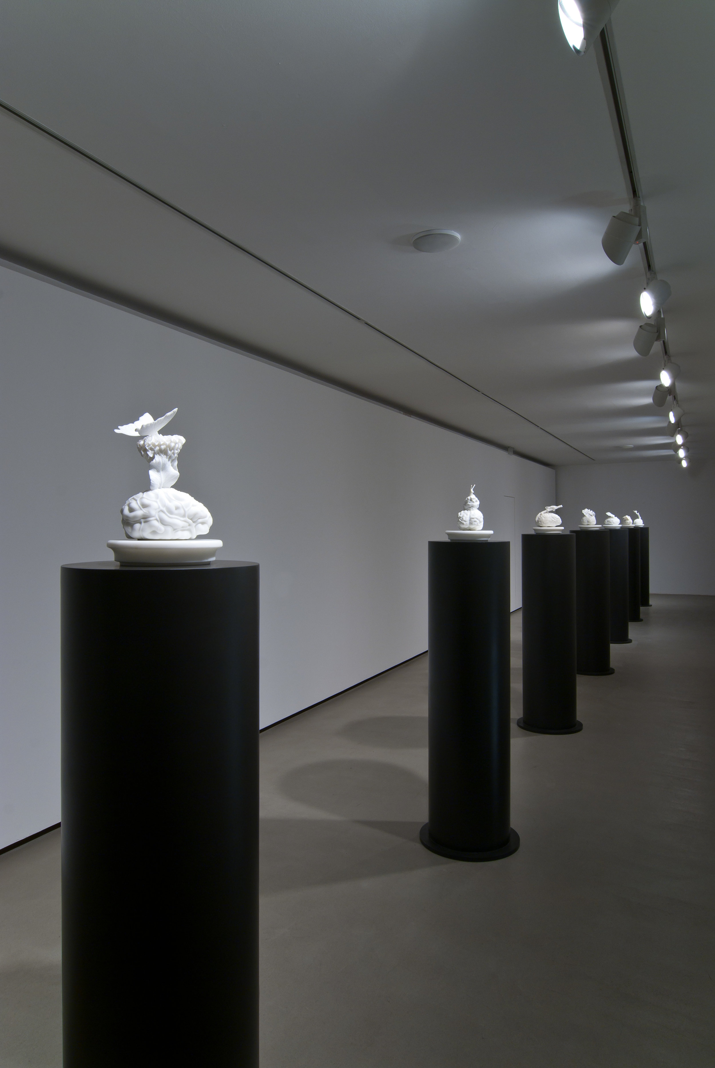 Exhibition View, Mario Mauroner Contemporary Art, Jan Fabres Welt, curated by_Lóránd Hegyi , 2012, Photo: Mario Mauroner Contemporary Art
