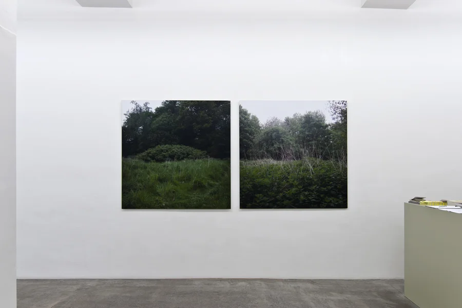 Exhibition View, Kerstin Engholm Galerie, EAST: EXCITABLE SPEECH: WEST, curated by_Adam Budak, 2011, Photo: Kerstin Engholm Galerie