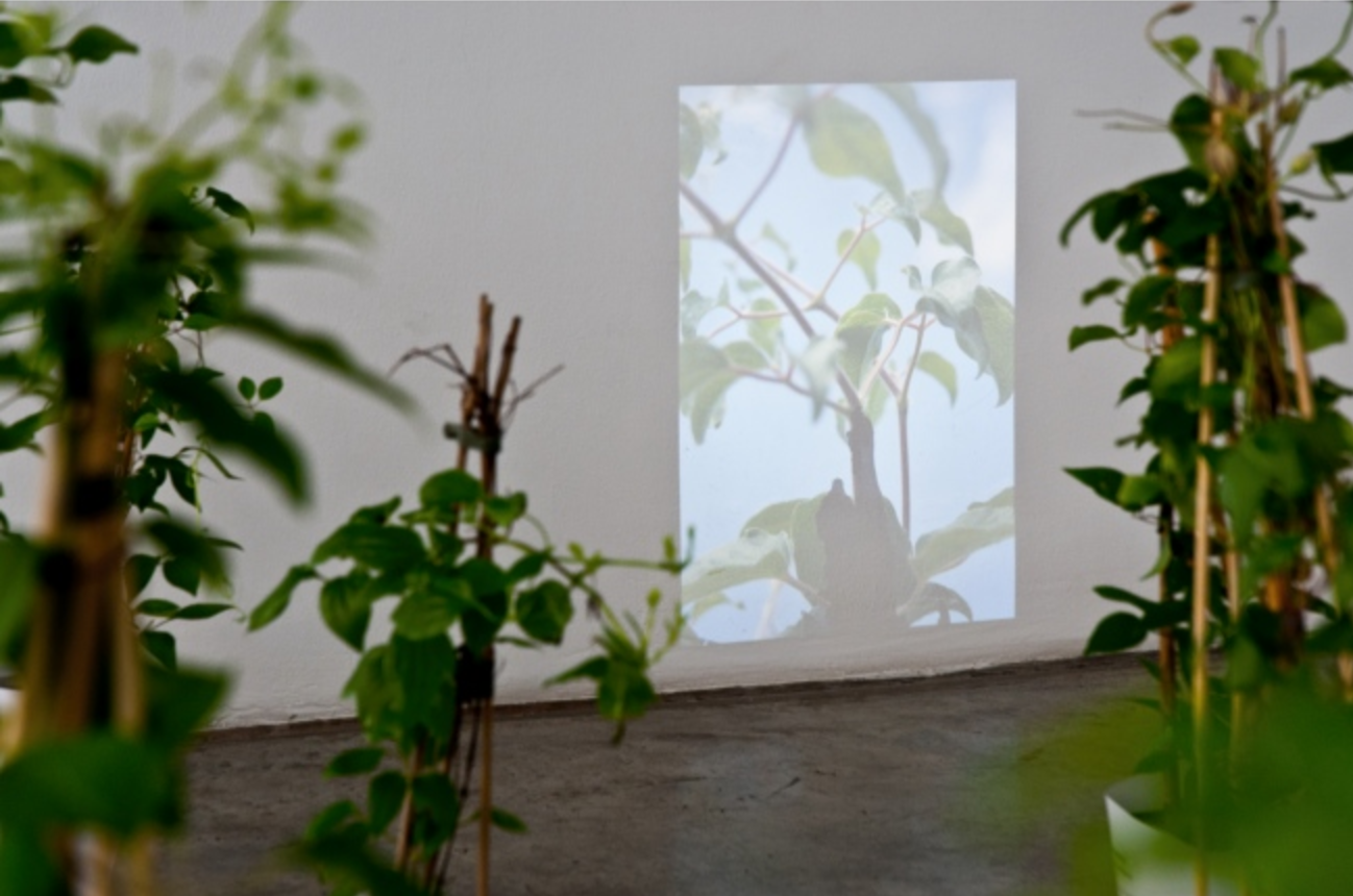 Exhibition View, Material Culture / Things in our Hands, curated by_Dessislava Dimova, 2011, Courtesy: Christine König Galerie