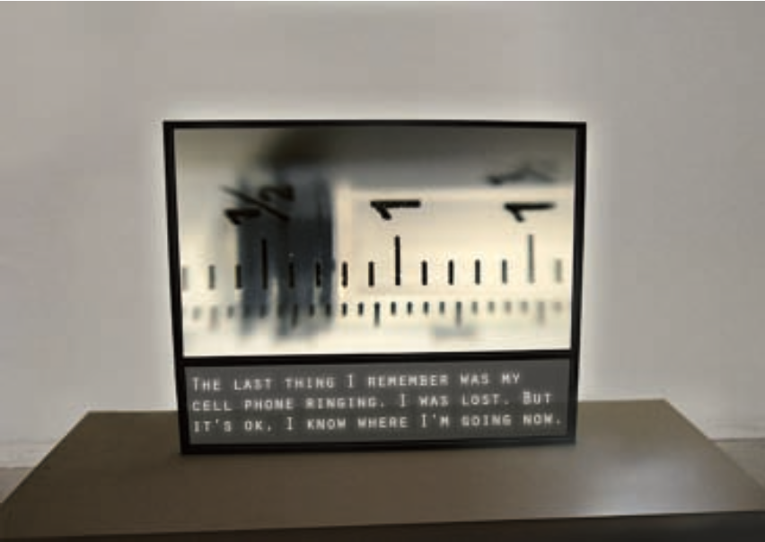Galerie Steinek, Lapsed Cinematic, curated by_Tony Oursler, 2010, Martin Murphy, Crash, 2010