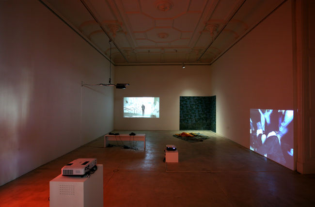 Exhibition View, Galerie Krinzinger, I Remain Silent, curated by_Erik Schmidt, 2010, Photo: Galerie Krinzinger