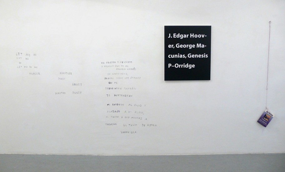 Exhibition View, Galerie Martin Janda, curated by_Matthew Higgs, 2009