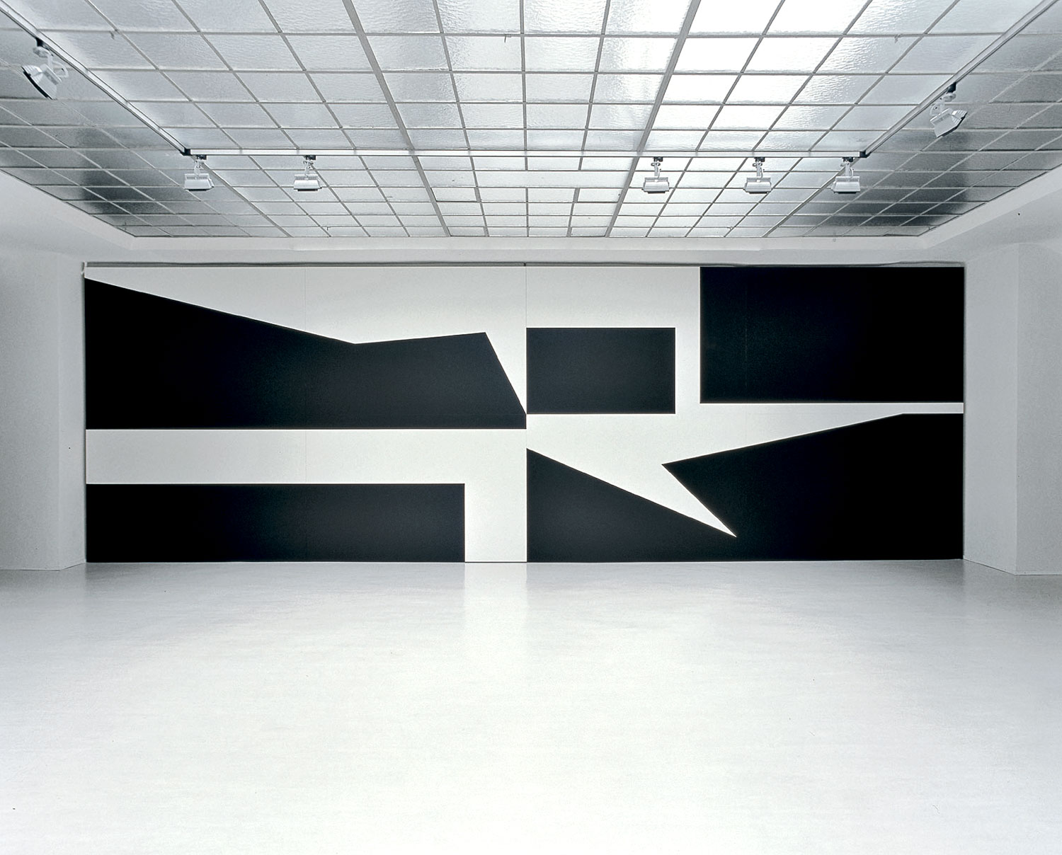 GERWALD ROCKENSCHAUB UNTITLED, 2002 8 MDF painted panels, acrylic varnish / 8 MDF- Platten, Acryllack, each / je 1,67 x 2,50 m total / gesamt 3,34 x 10 m Installation view / Ausstellungsansicht Courtesy Georg Kargl Fine Arts, Vienna / Wien