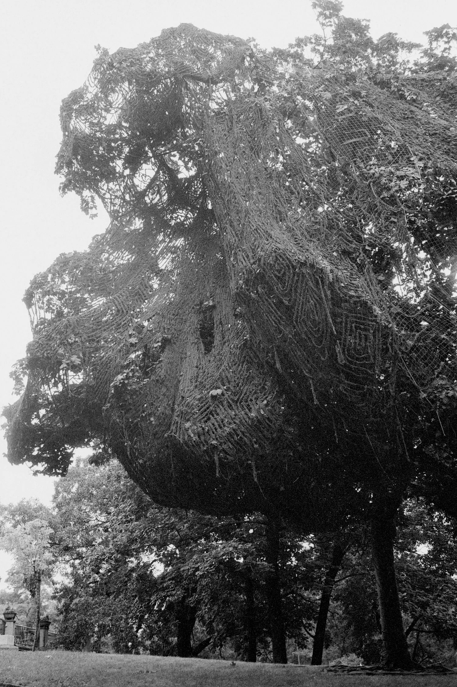 FRANTIŠEK LESÁK BAUM ALS BAUM GETARNT, 1972 Black and white photo / Schwarz-Weiß-Foto, 60 x 40 cm, photoprint / Fotoabzug, 2018 Courtesy of the artist, Photo: František Lesák