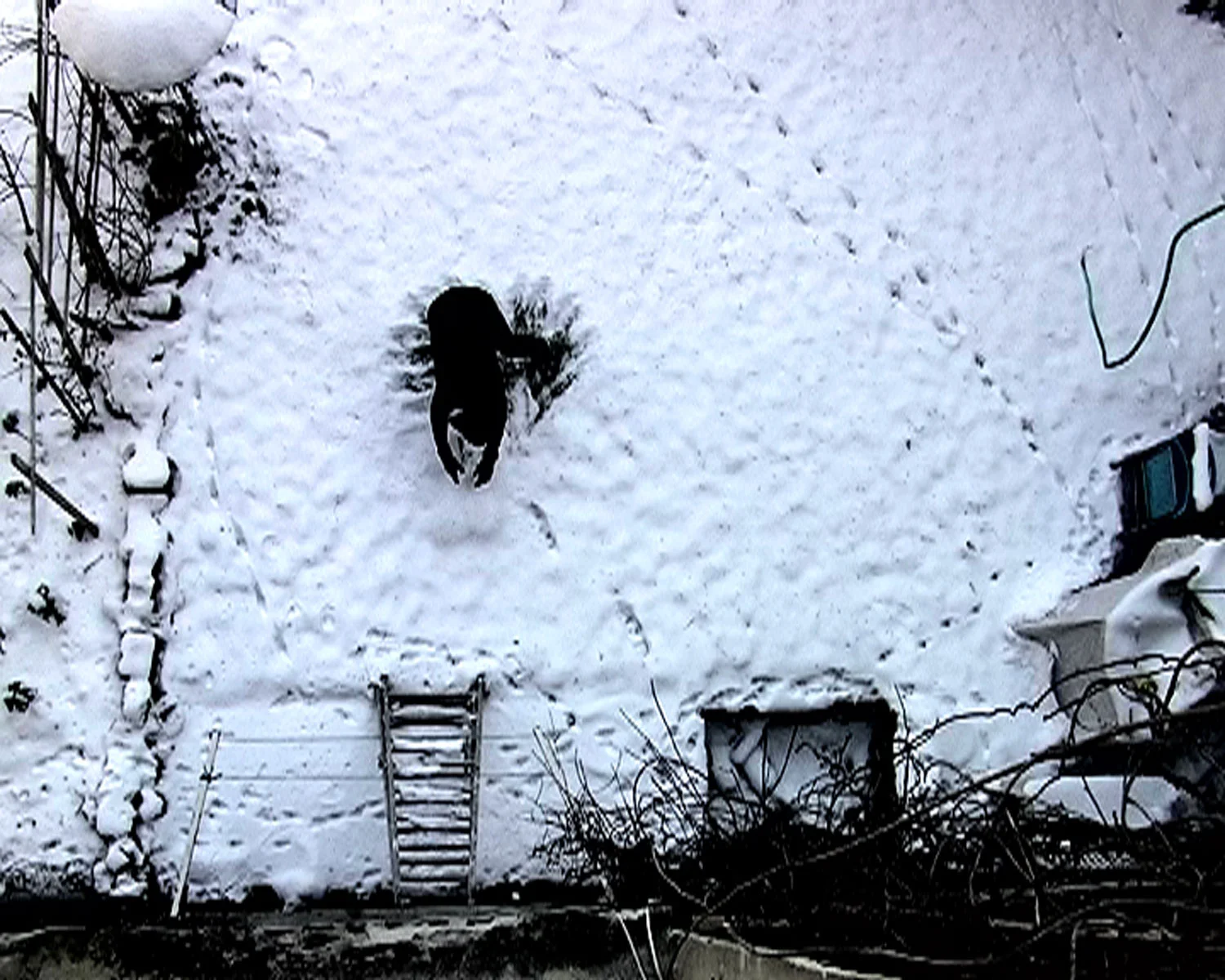 JOHANNA REICH BLACK HOLE, 2009 SD Video, Pal, Stereo, 1:50 min Courtesy Galerie Priska Pasquer, © Johanna Reich @ VG-Bildkunst Bonn