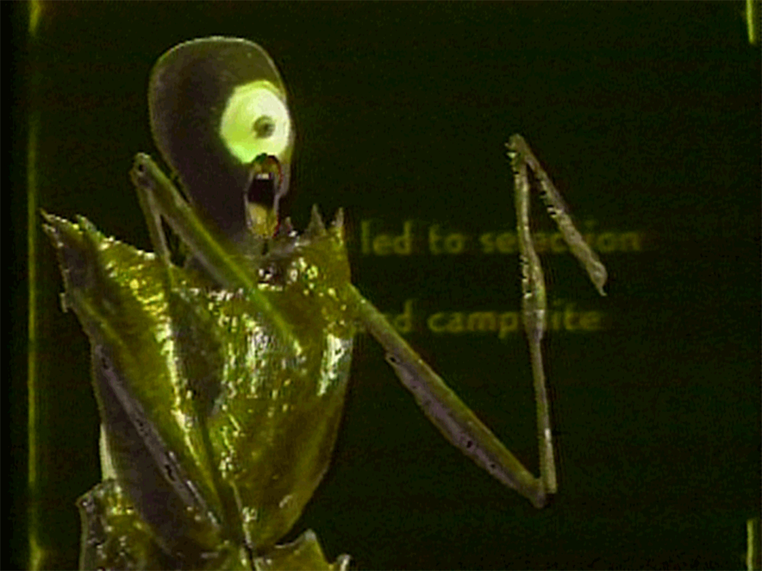 I Want Some Insecticide 1986 Branda Miller Single-channel, B&W and colour video, sound, 3:53 min Video still courtesy of Branda Miller and Electronic Arts Intermix (EAI), New York