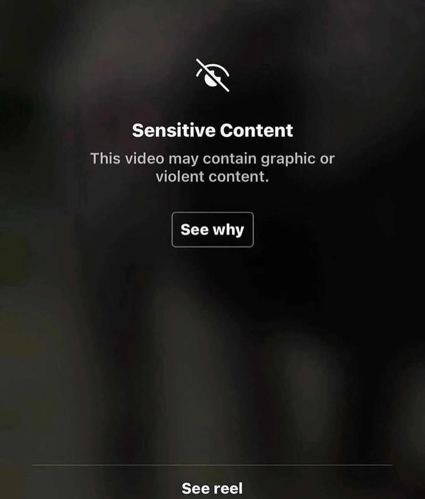 Guys!! This is insane 🫣