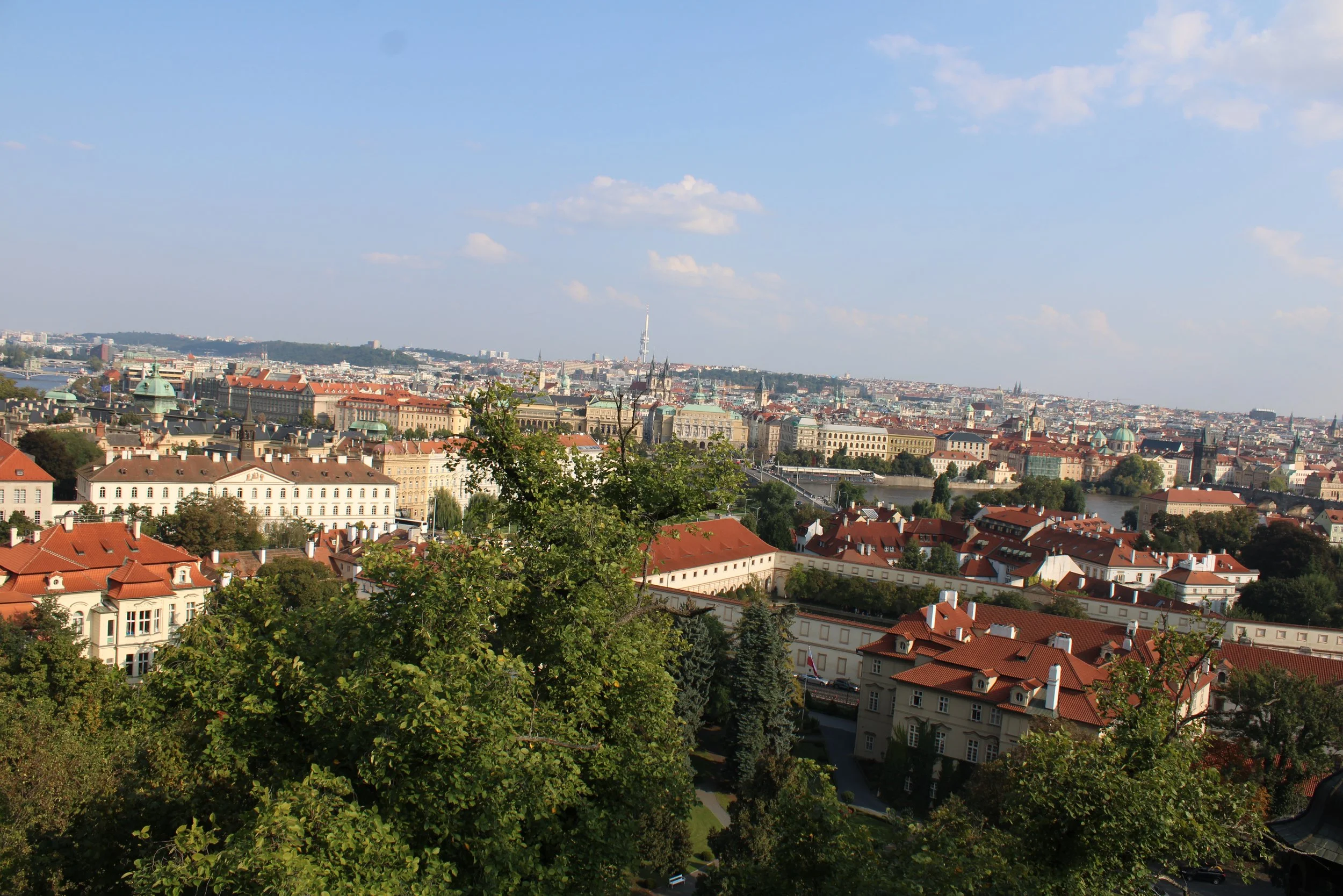 IMG_6173.JPG