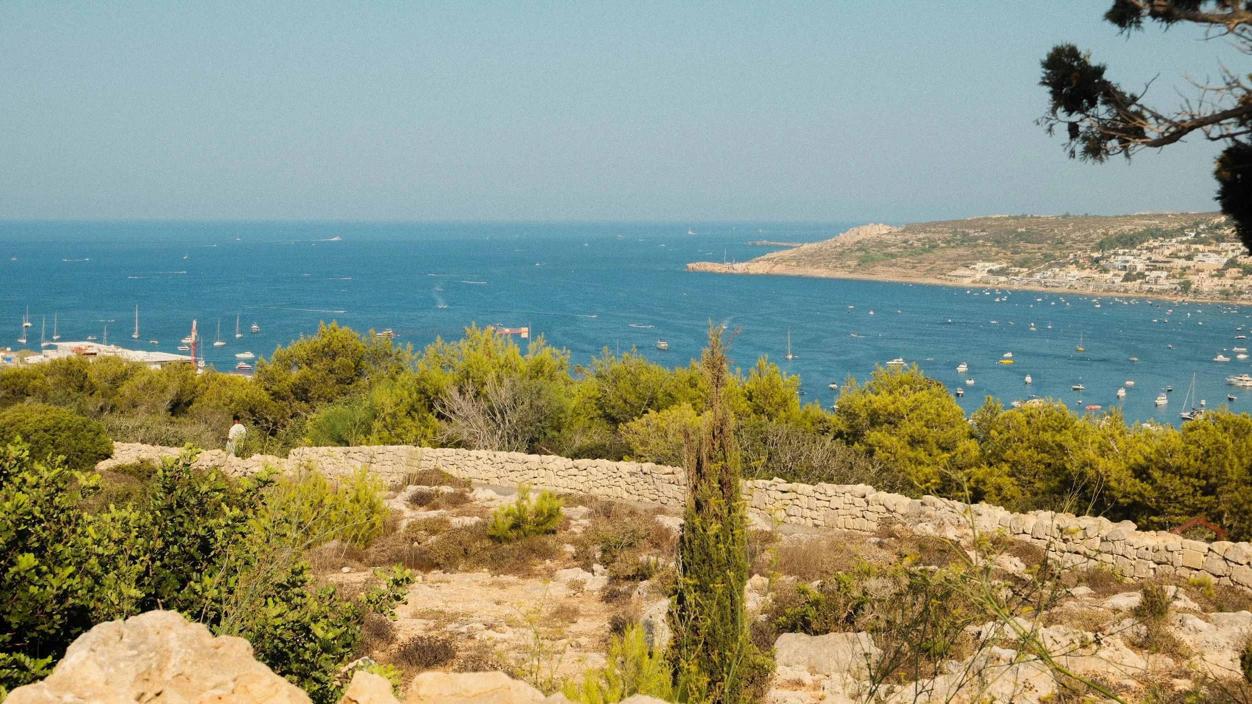 DSCF4436.jpg