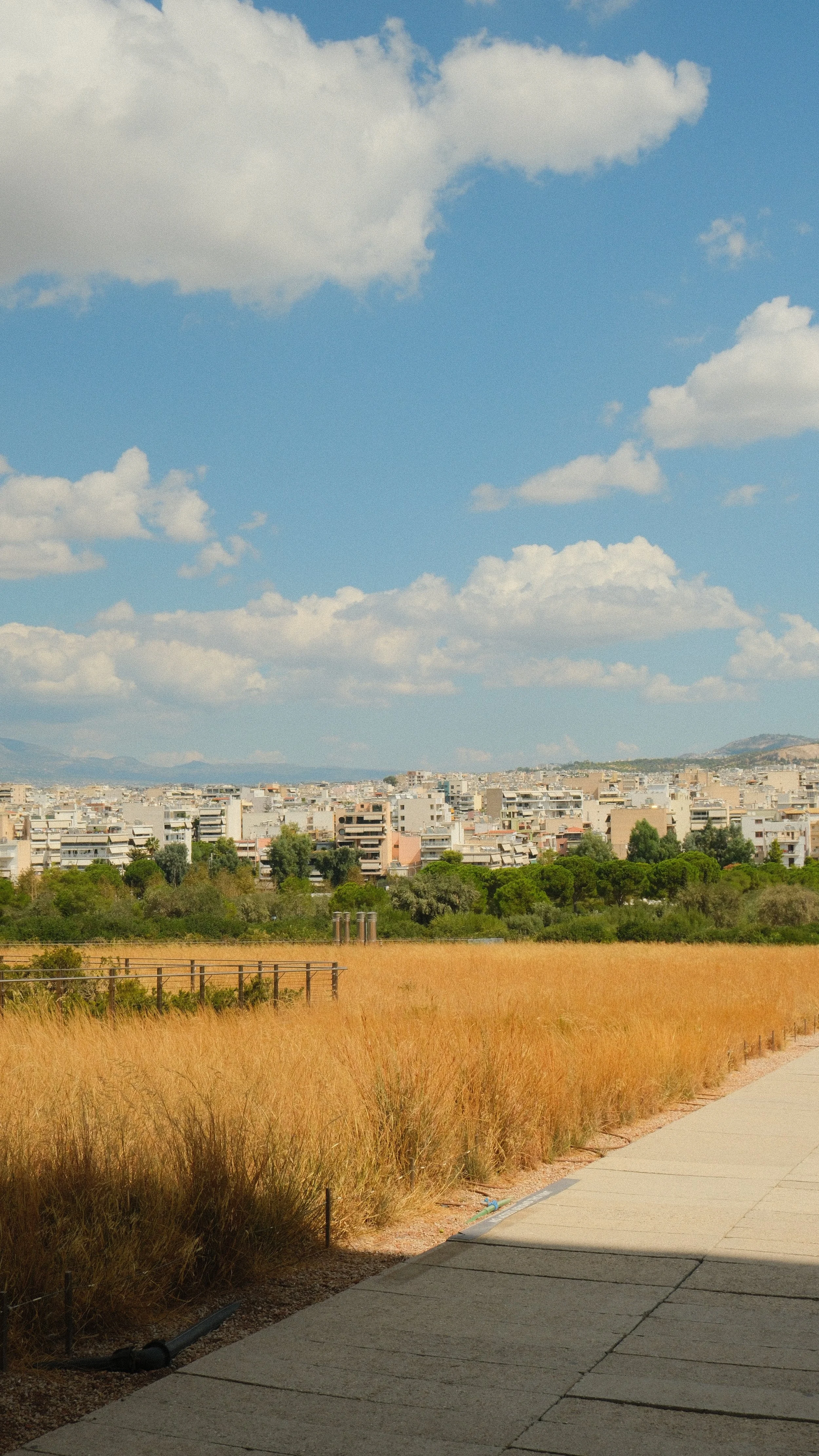DSCF5068.JPG
