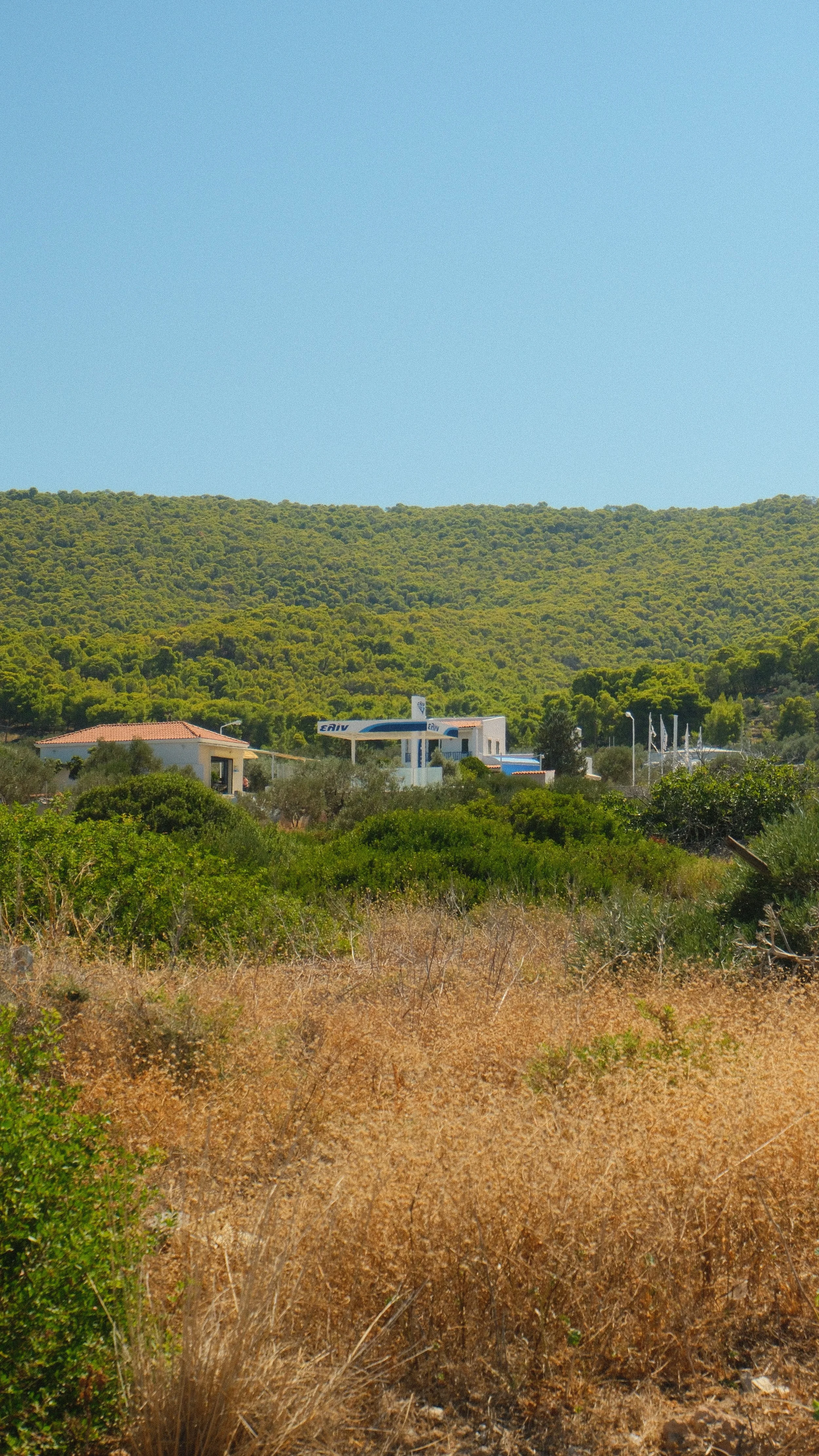 DSCF5095.JPG