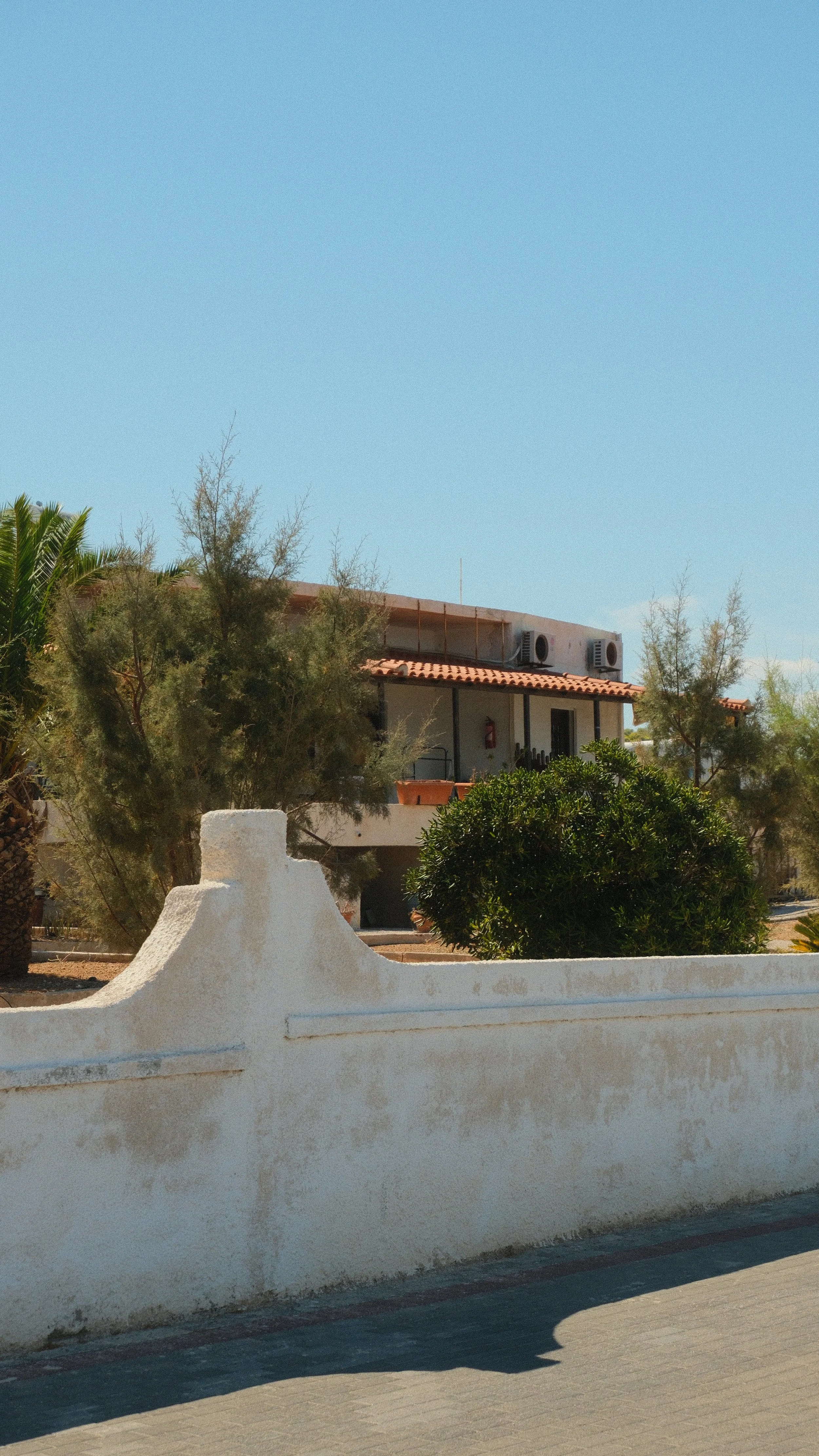 DSCF5097.JPG