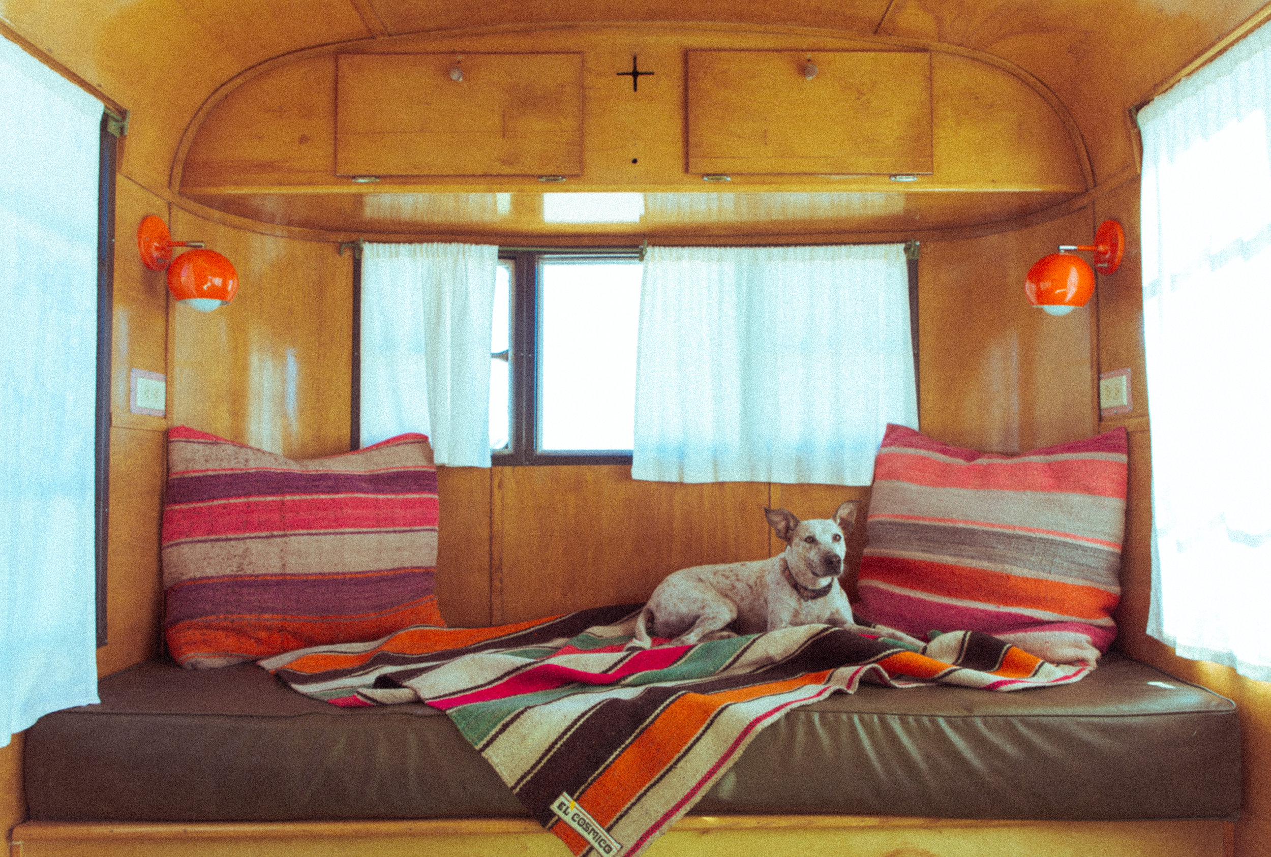 Rambo_TrailerInteriorDogOnCouch_029.jpg