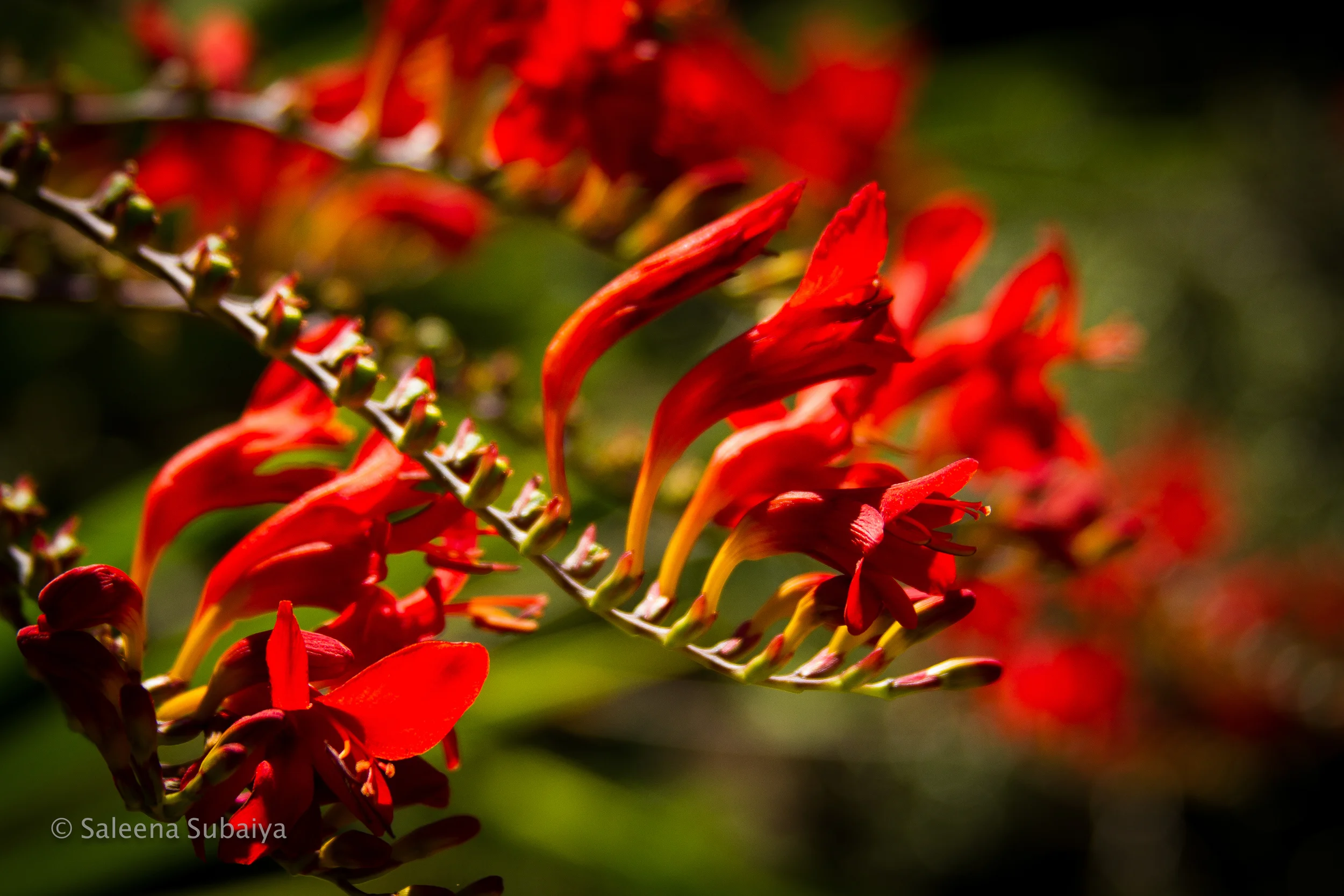 20130909-IMG_7568.jpg