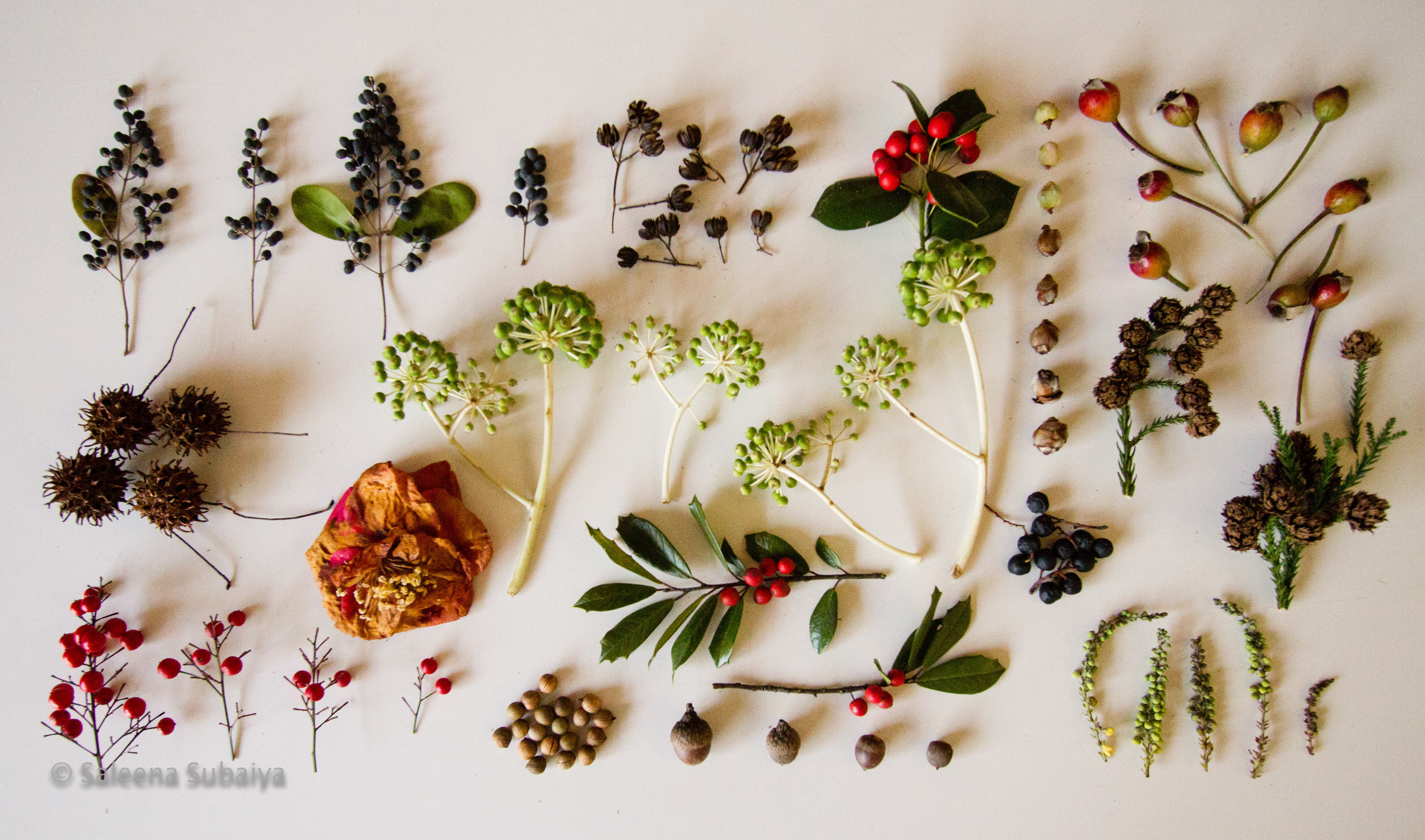 Winter baubles